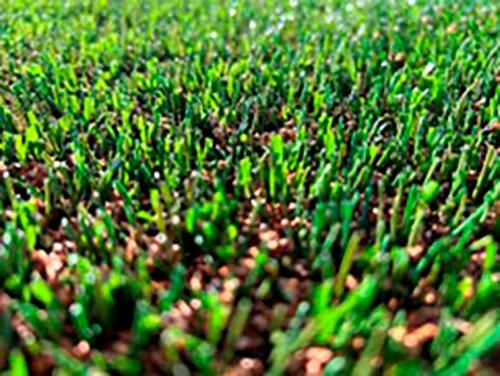122.-FieldTurf---CorePrime